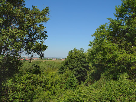 Fotos Aussicht vom Teufelsberg