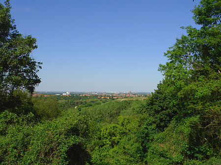 Aussicht vom Teufelsberg Foto 