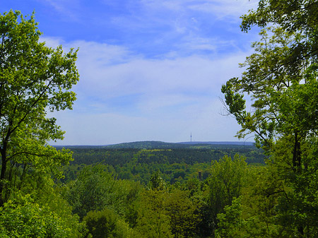 Foto Aussicht vom Teufelsberg