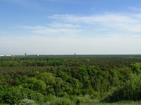 Foto Aussicht vom Teufelsberg
