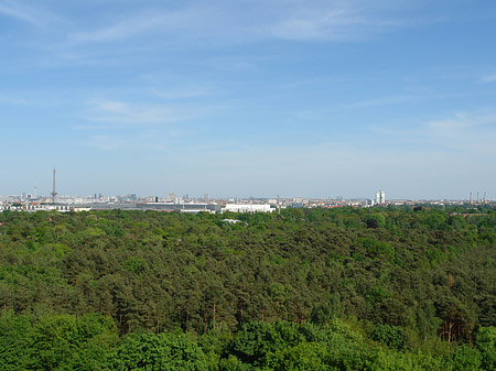 Foto Aussicht vom Teufelsberg - Berlin