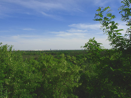 Foto Impressionen vom Teufelsberg