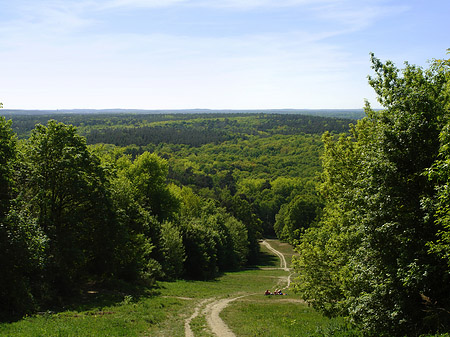 Straße auf den Teufelsberg