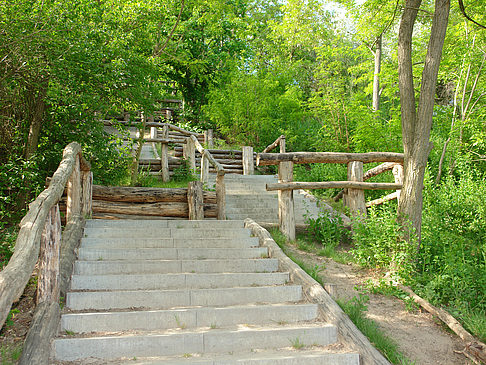 Foto Treppe auf den Drachenfliegerberg