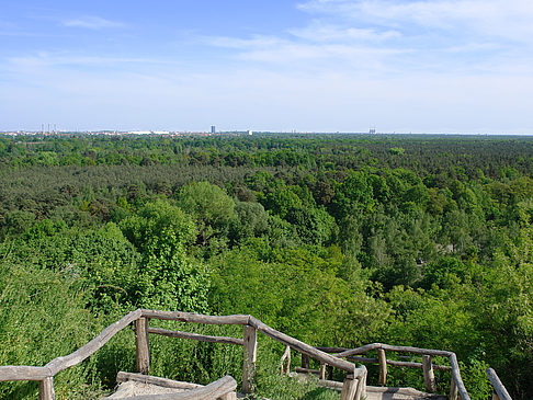 Foto Treppe auf den Drachenfliegerberg