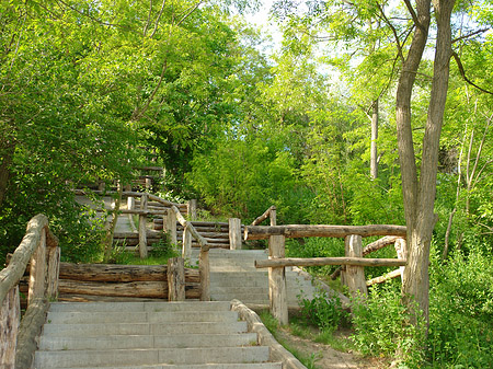 Treppe auf den Drachenfliegerberg Fotos