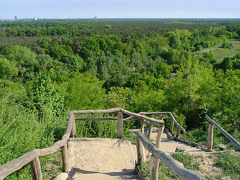 Foto Treppe auf den Drachenfliegerberg - Berlin