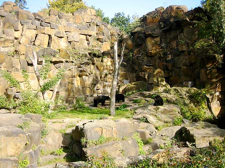 Tierpark