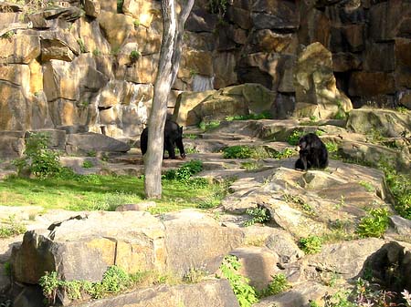 Tierpark Foto 