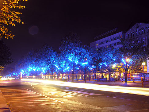 Unter den Linden Fotos