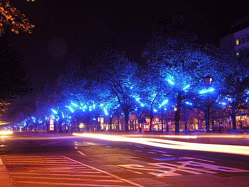 Fotos Unter den Linden