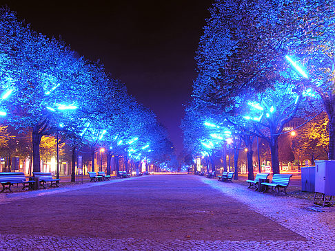 Unter den Linden