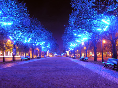 Unter den Linden