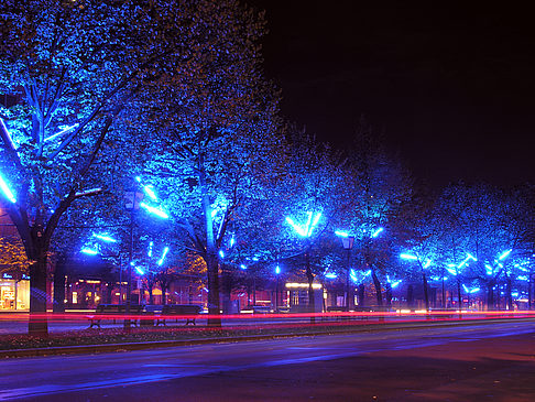 Foto Unter den Linden