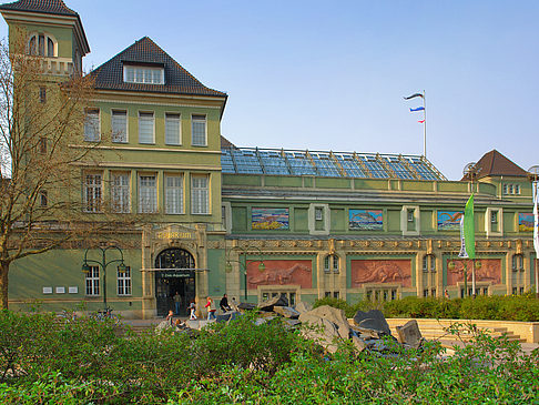 Foto Eingang zum Zoo