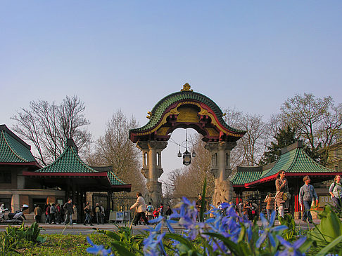 Foto Eingang mit Wiese - Berlin