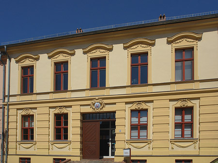 Einstein Forum