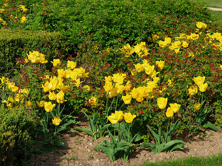 Bundesgartenschau Foto 