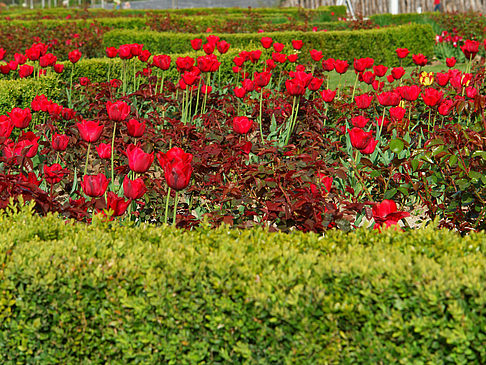 Fotos Bundesgartenschau | Potsdam