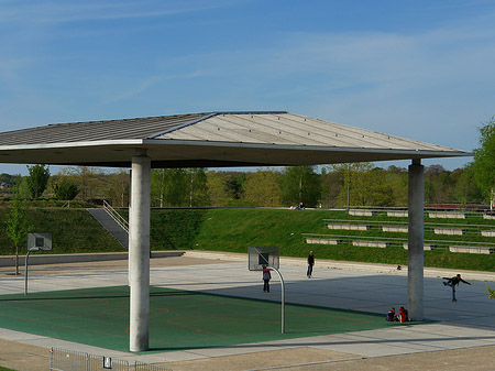 Foto Wiese - Potsdam