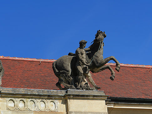 Ornamente Foto 