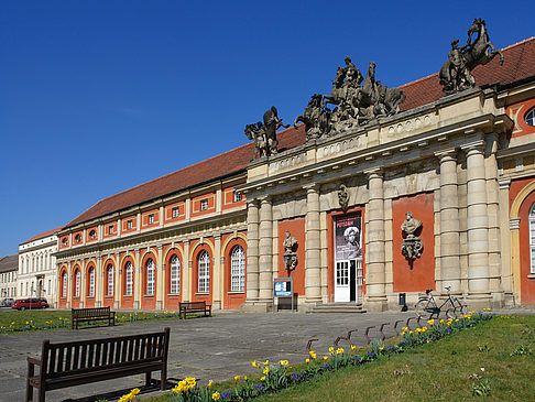 Ornamente Foto 