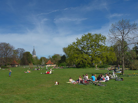 Liegewiese Fotos