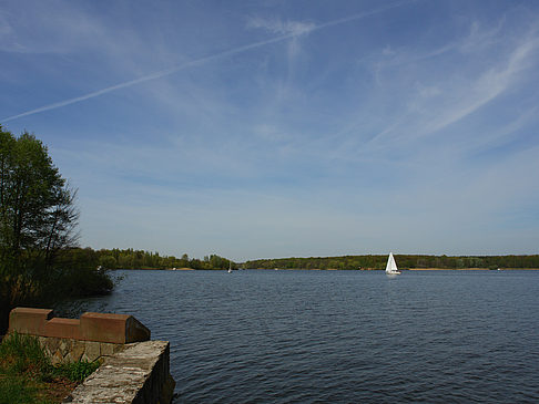 Havel