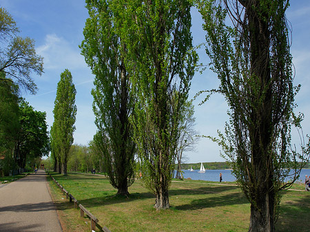Foto Volkspark Klein Glienicke
