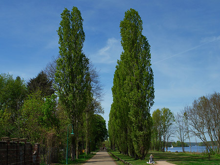 Foto Volkspark Klein Glienicke