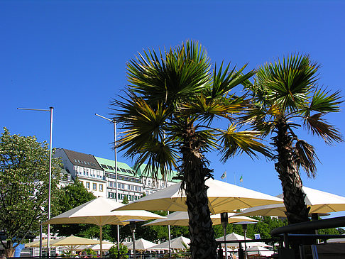Brunchterrasse auf dem Alster Pavillon Fotos