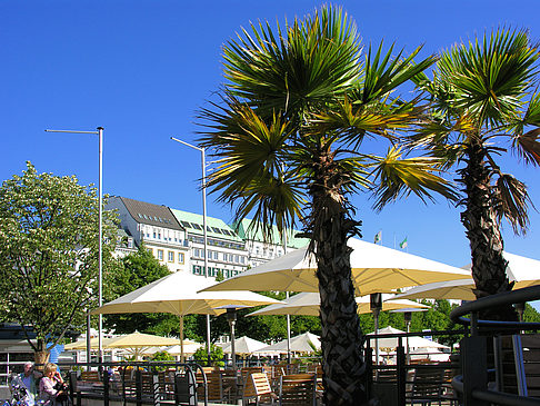 Fotos Brunchterrasse auf dem Alster Pavillon