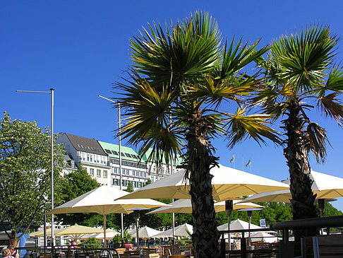 Alster Pavillon Foto 