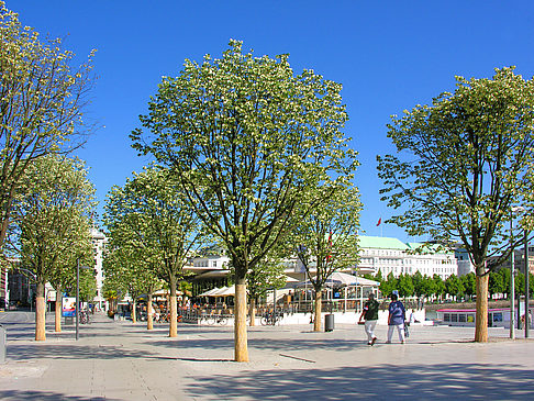 Alster Pavillon Fotos