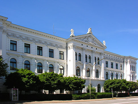 Foto Rathaus von Altona