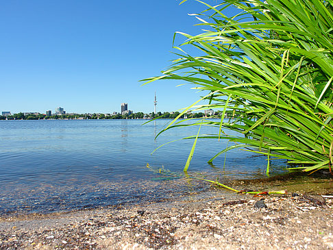 Badestrand an der Außenalster Foto 