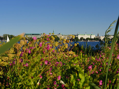 Blick nach Osten von der Außenalster Fotos