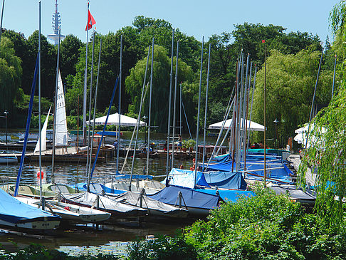 Foto Bootsverleih und Hafen auf der Außenalster