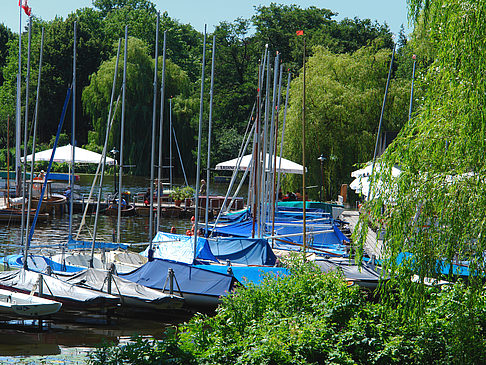 Bootsverleih und Hafen auf der Außenalster Foto 