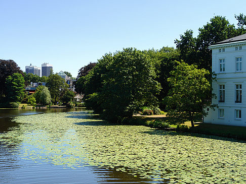 Langer Zug - Außenalster Fotos