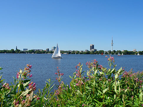 Foto Schöne Aussicht - Hamburg