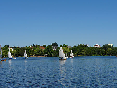 Fotos Segelboote auf der Außenalster