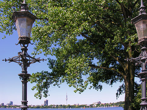 Foto Bäume und Laterne an der Binnenalster