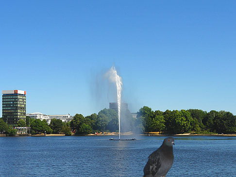 Fontäne auf der Binnenalster Fotos