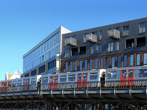 Foto Baumwall - Hamburg