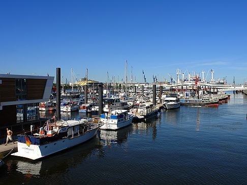 City Sporthafen