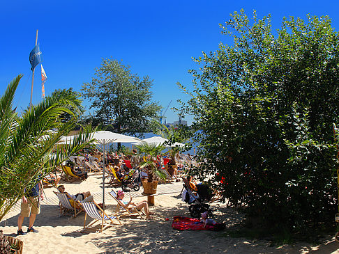 Foto Beach Bar - Große Elbstrasse