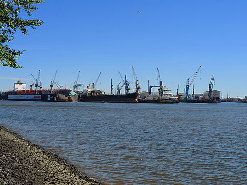 Fotos Strand im Hamburger Hafen