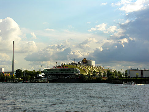 Foto König der Löwen - Hamburg