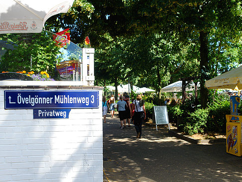 Elbterrassen Fotos